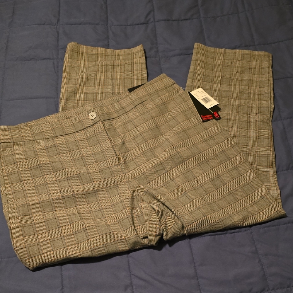 NWT Briggs Slacks 18